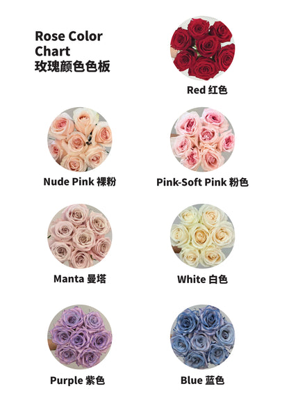 Ivory Date 白纱赴约