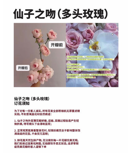 My Dear Princess 我的公主殿下