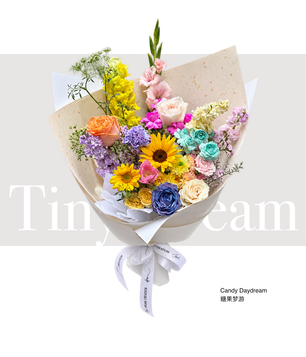 Candy Daydream 糖果梦游 product image