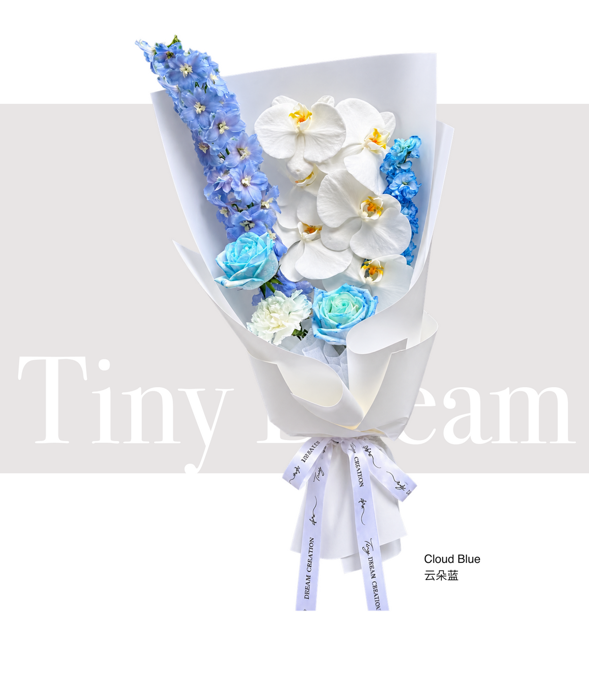 Cloud Blue 云朵蓝 product image