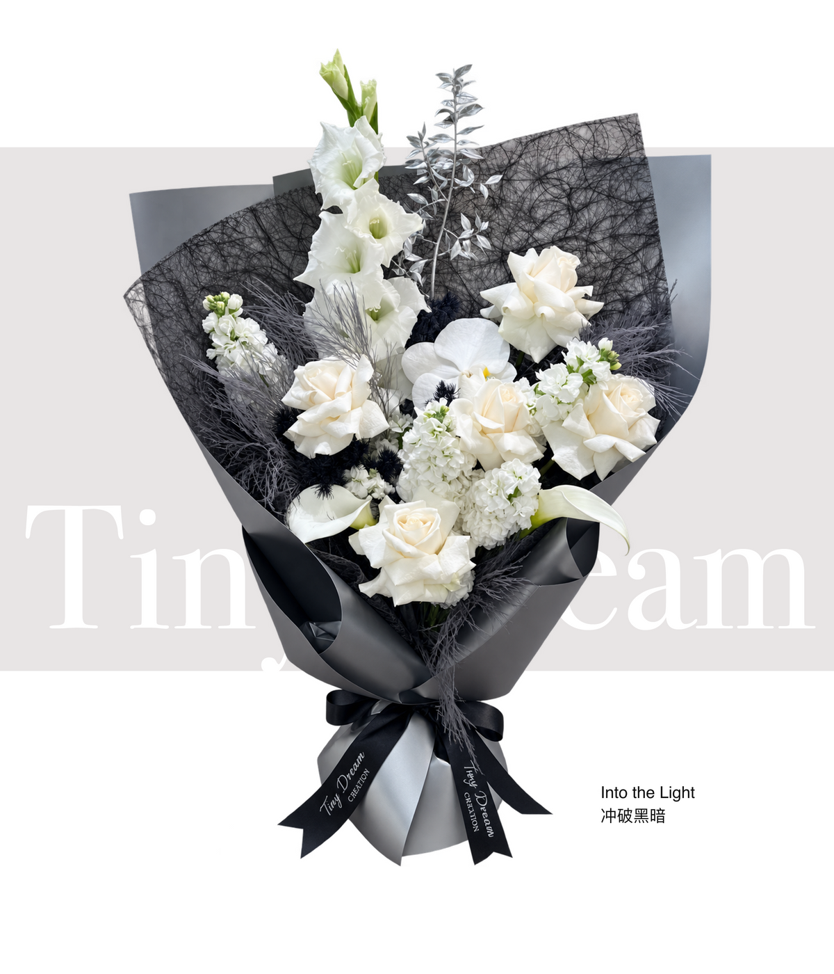 Into the Light 冲破黑暗 product image